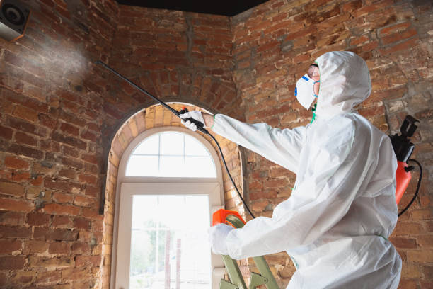 Best Forensic Mold Investigation  in Valmeyer, IL